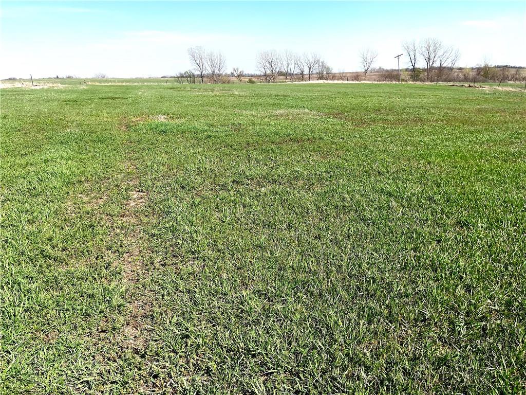 Listing Photo MLS #HMS2610744