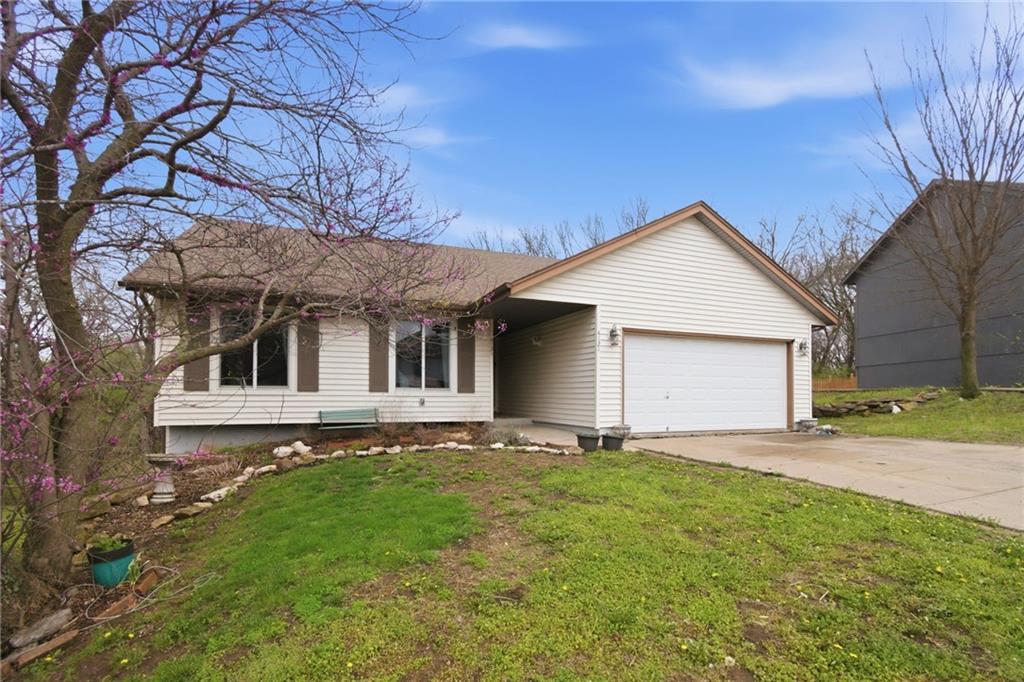 Listing Photo MLS #HMS2612014