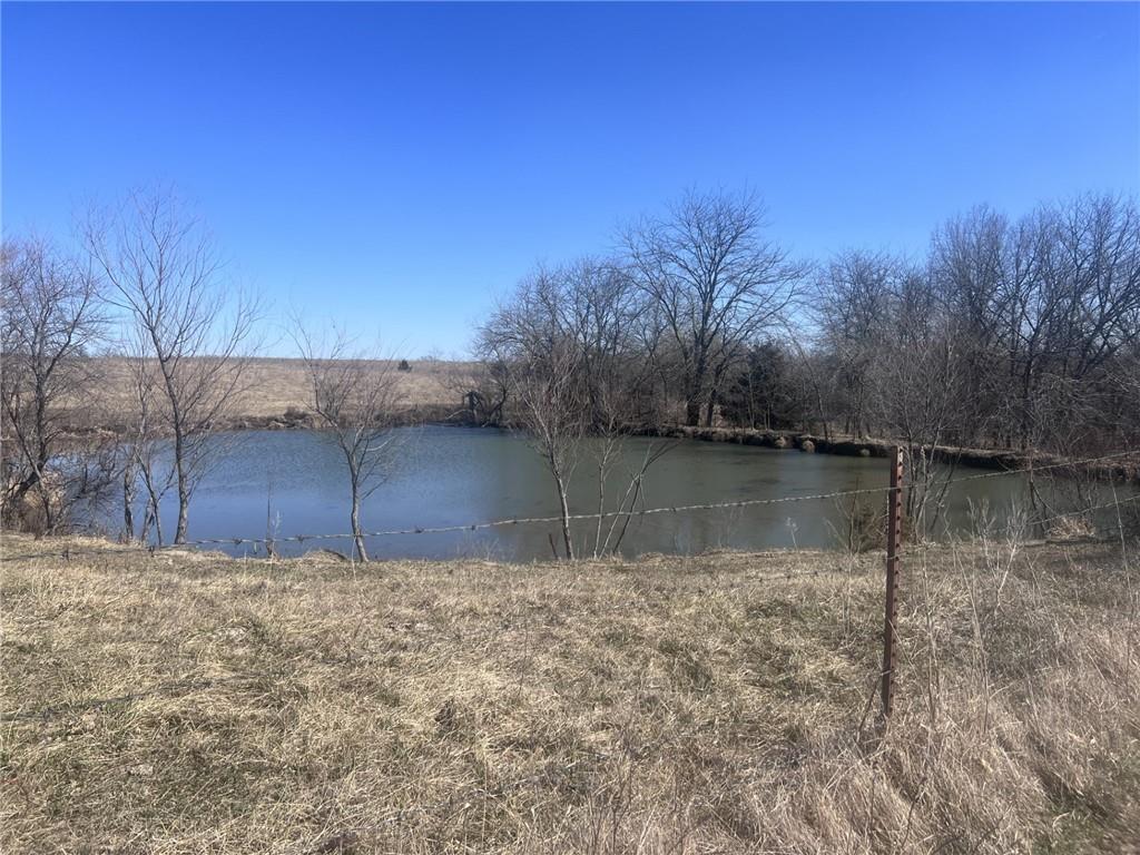 Listing Photo MLS #HMS2612926