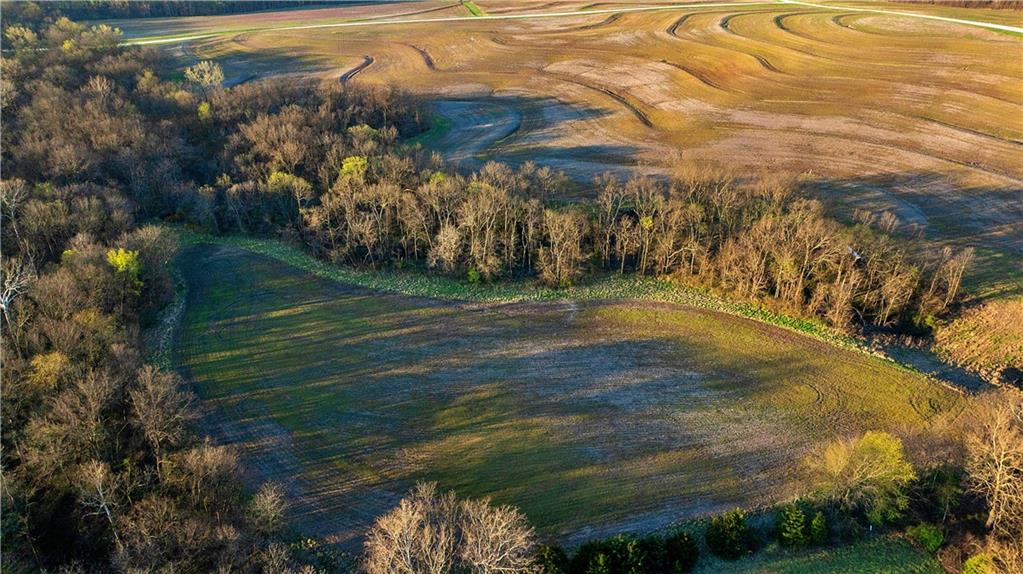 Listing Photo MLS #HMS2613416