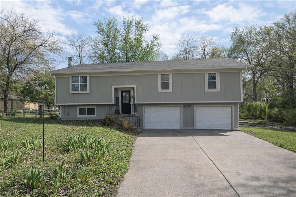 Listing Photo MLS #HMS2614453