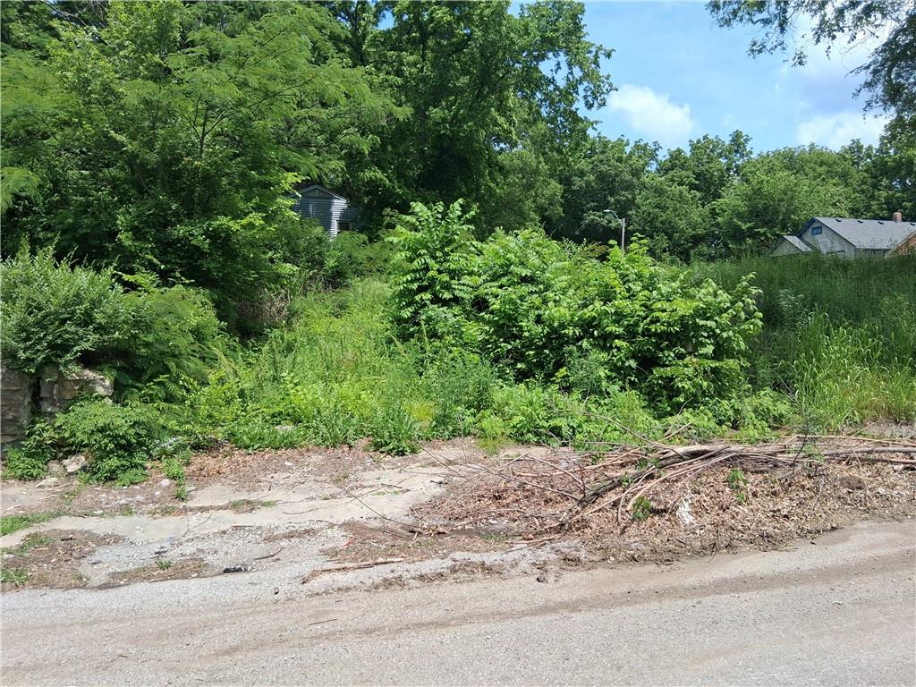 Listing Photo MLS #HMS2615218