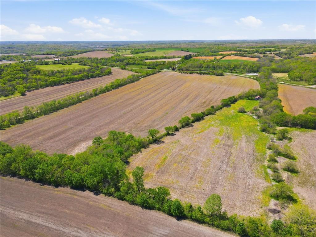 Listing Photo MLS #HMS2615501