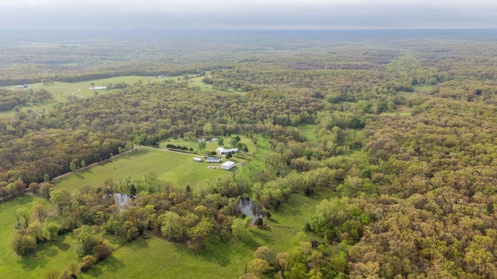 Listing Photo MLS #HMS2616307