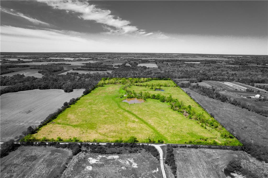 Listing Photo MLS #HMS2617025