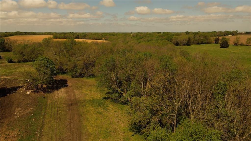 Listing Photo MLS #HMS2617083