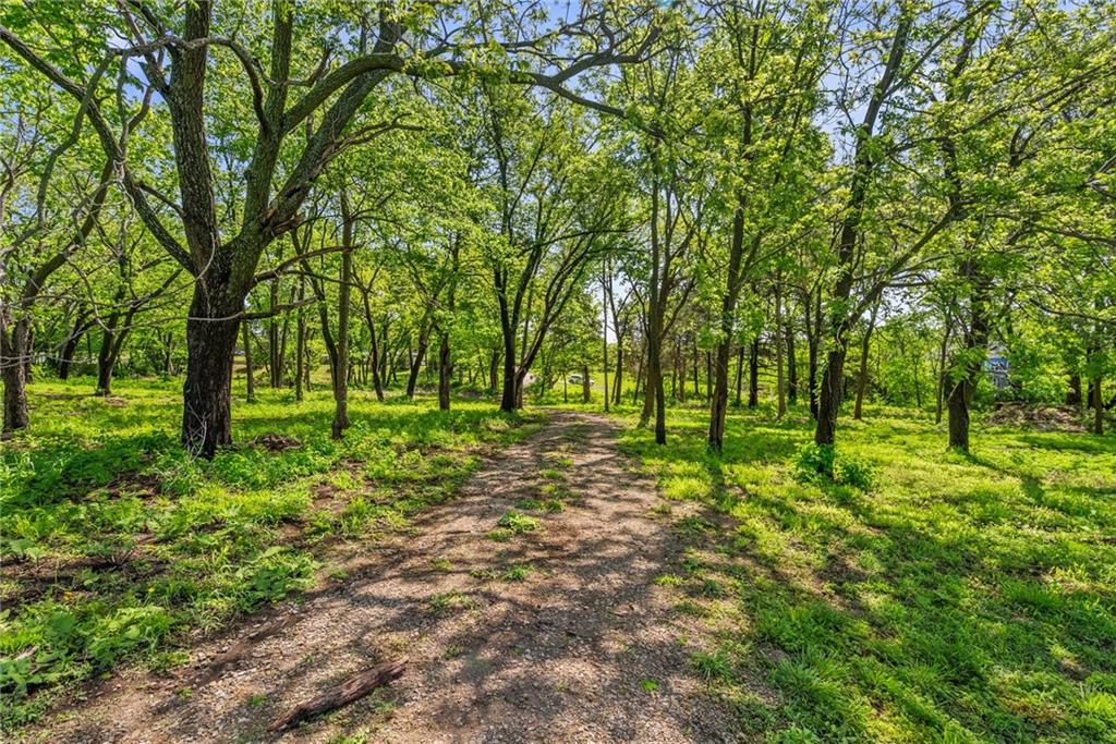 Listing Photo MLS #HMS2617136