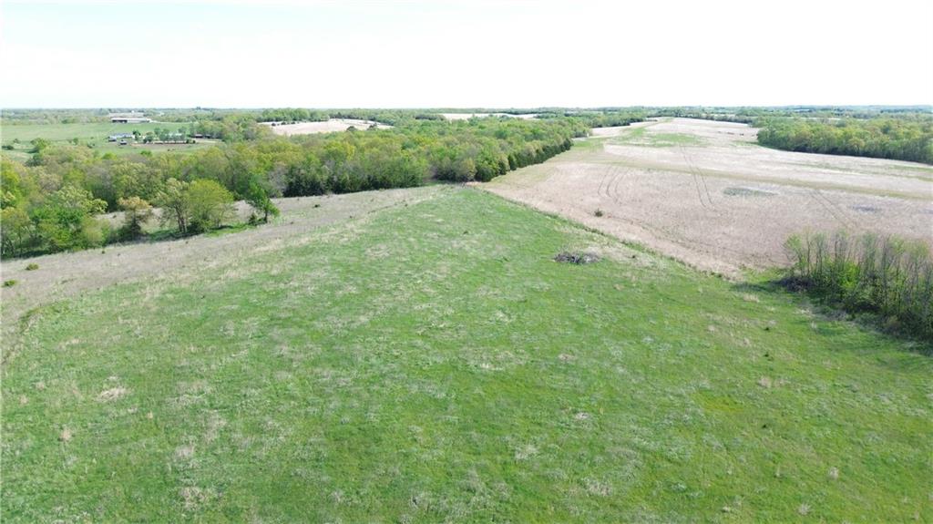 Listing Photo MLS #HMS2617157