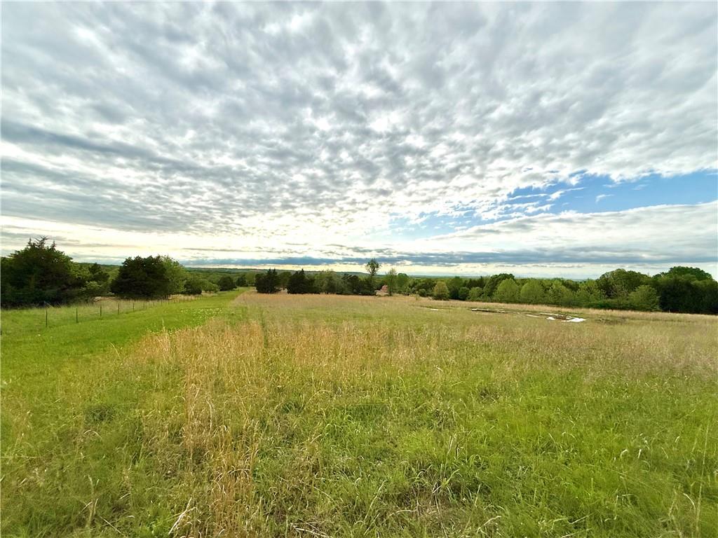 Listing Photo MLS #HMS2617379