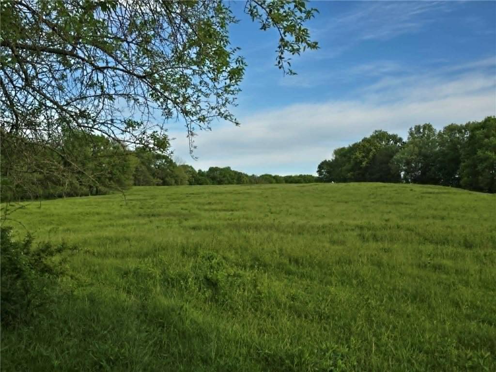 Listing Photo MLS #HMS2617492