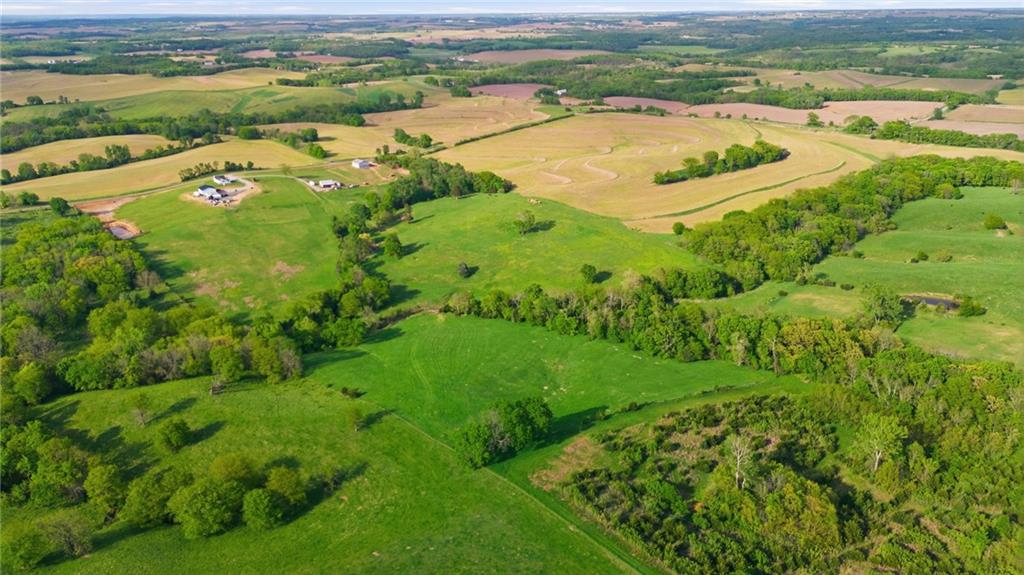 Listing Photo MLS #HMS2617550