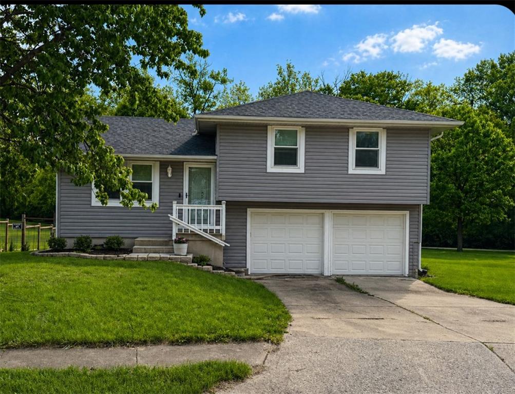 Listing Photo MLS #HMS2617663