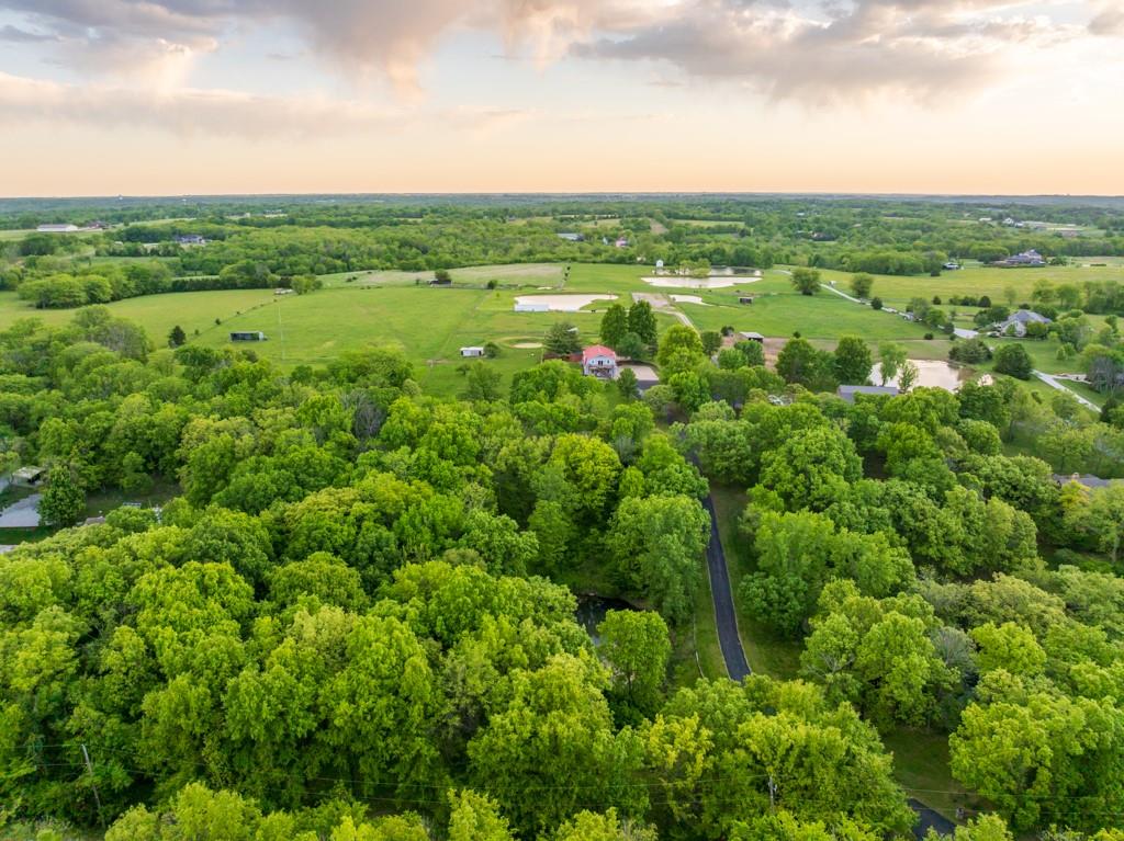 Listing Photo MLS #HMS2617820