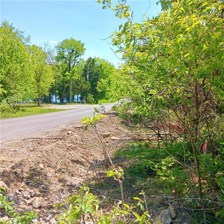 Listing Photo MLS #HMS2617868