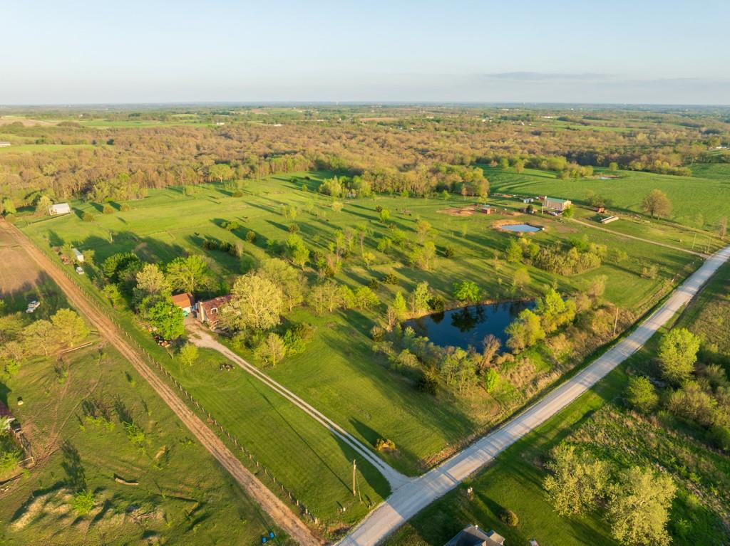 Listing Photo MLS #HMS2618033
