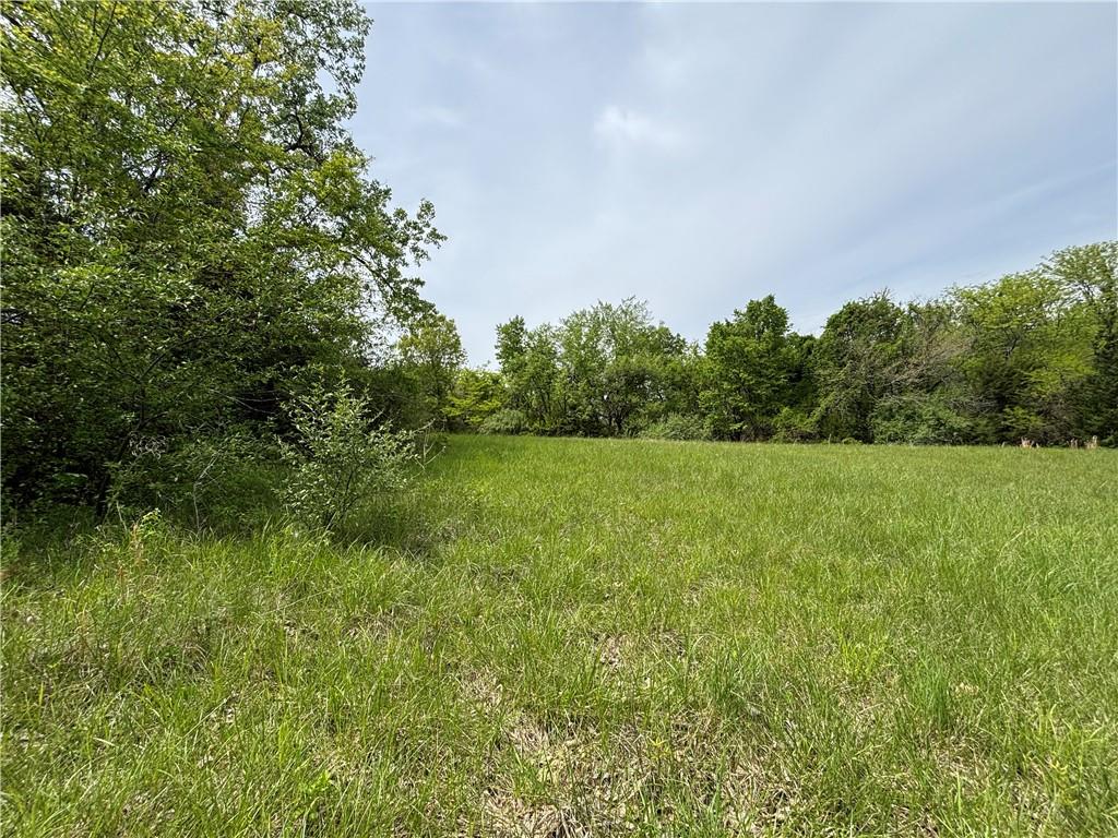 Listing Photo MLS #HMS2618113