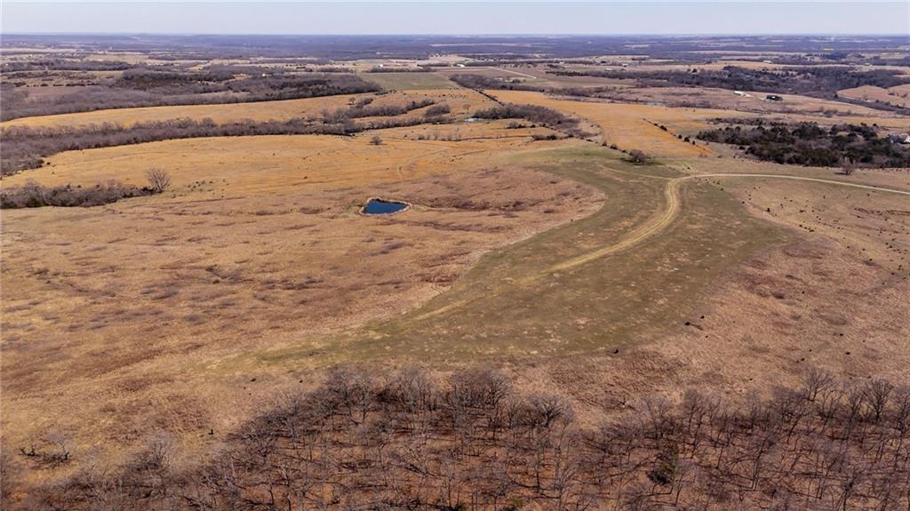 Listing Photo MLS #HMS2618138