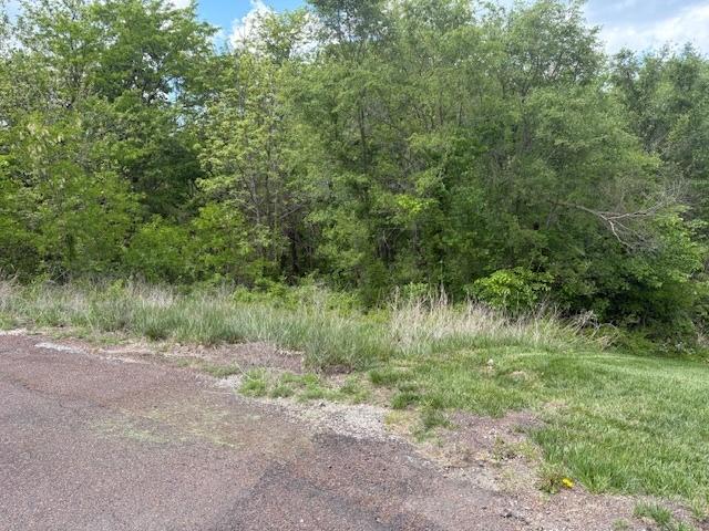 Listing Photo MLS #HMS2618150