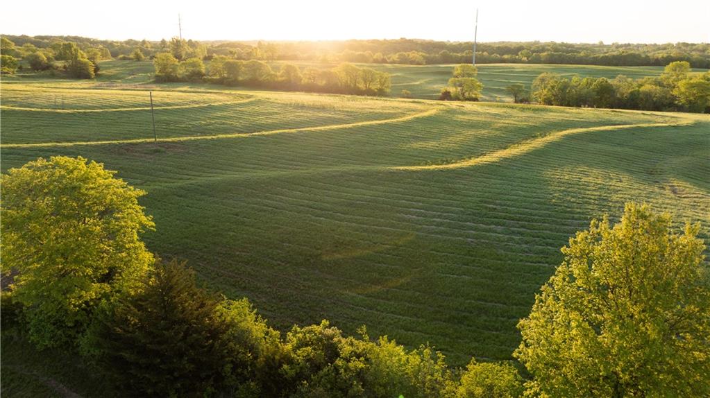 Listing Photo MLS #HMS2618373