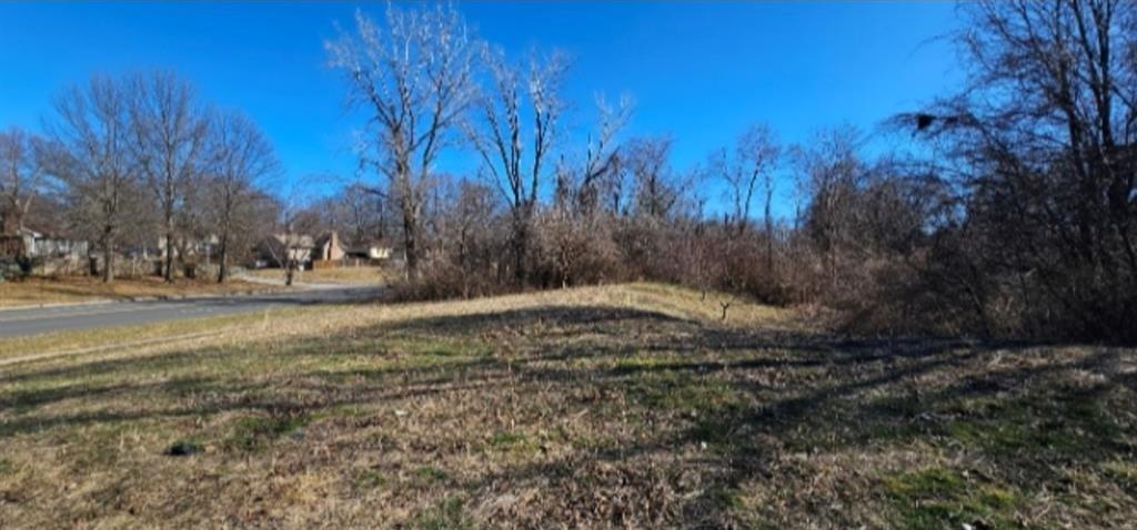 Listing Photo MLS #HMS2618687