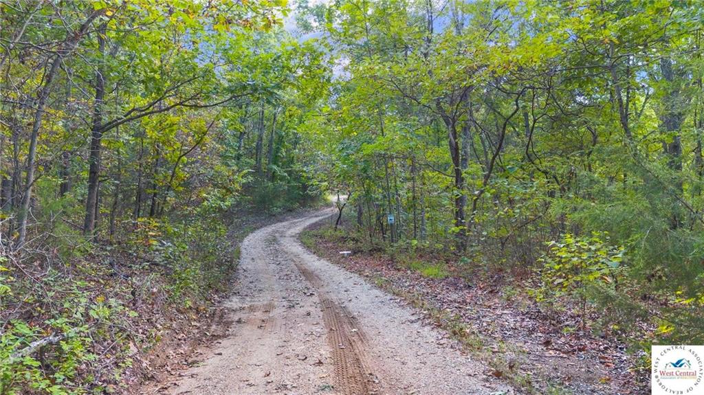 Listing Photo MLS #HMS2618822