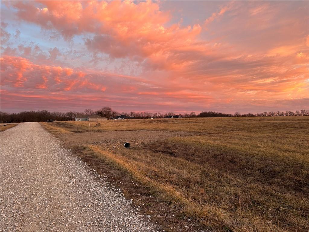 Listing Photo MLS #HMS2619017