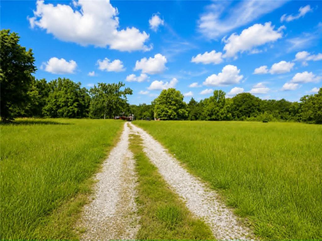 Listing Photo MLS #HMS2619060