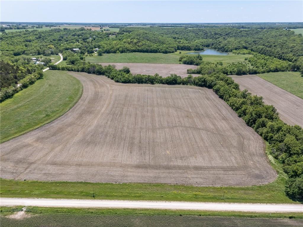 Listing Photo MLS #HMS2620438