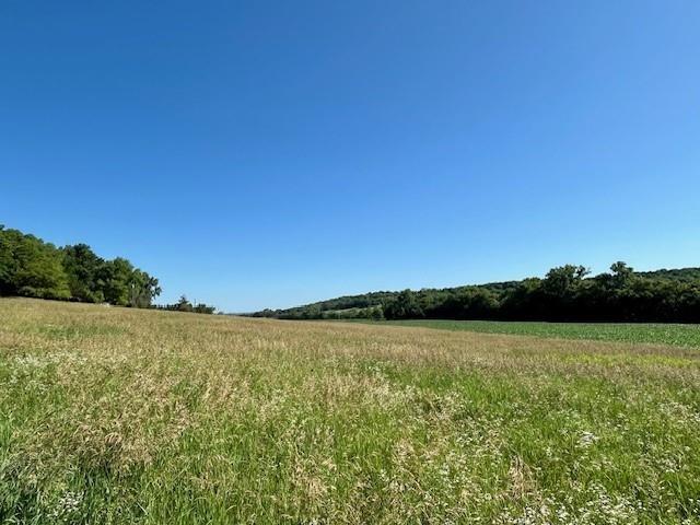 Listing Photo MLS #HMS2620440