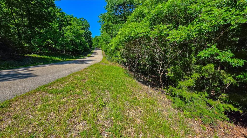 Listing Photo MLS #HMS2620575