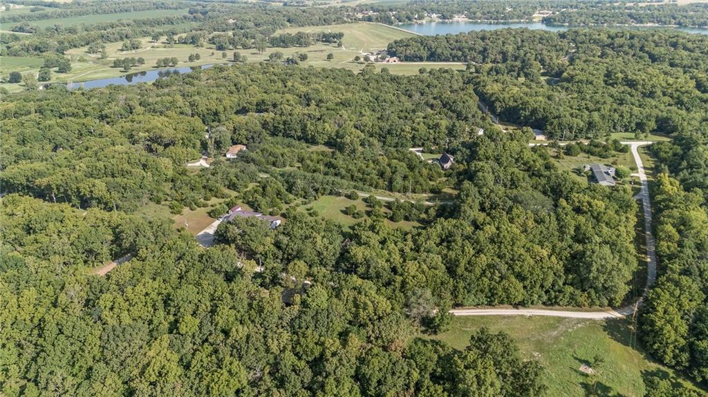 Listing Photo MLS #HMS2620681