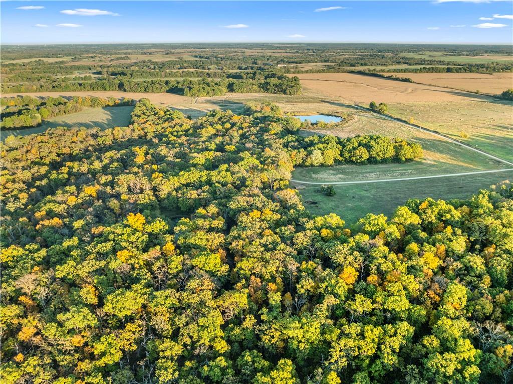 Listing Photo MLS #HMS2620784