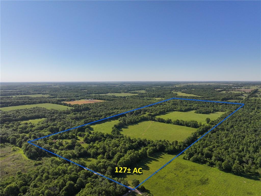 Listing Photo MLS #HMS2620790