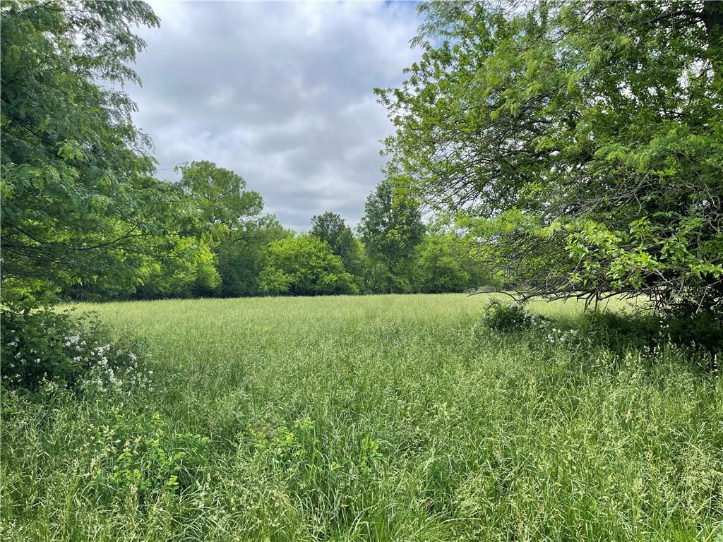 Listing Photo MLS #HMS2621056