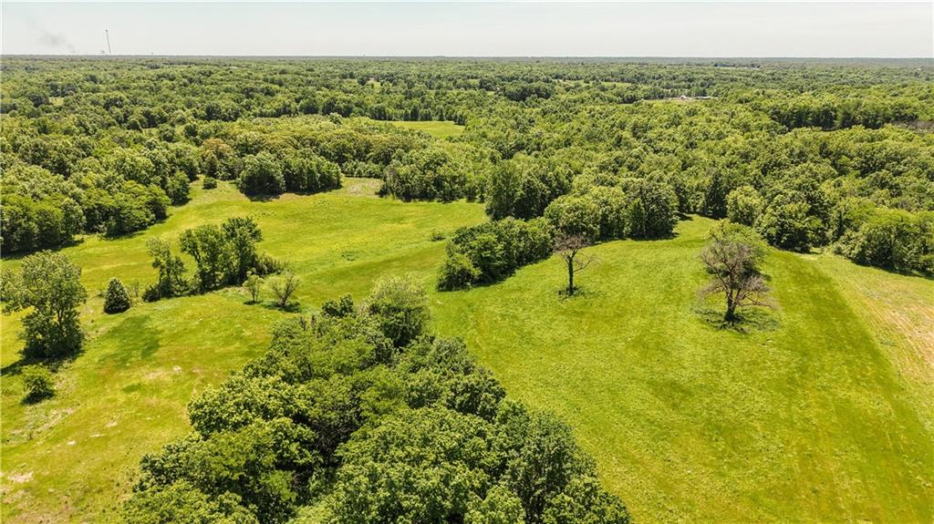 Listing Photo MLS #HMS2621076