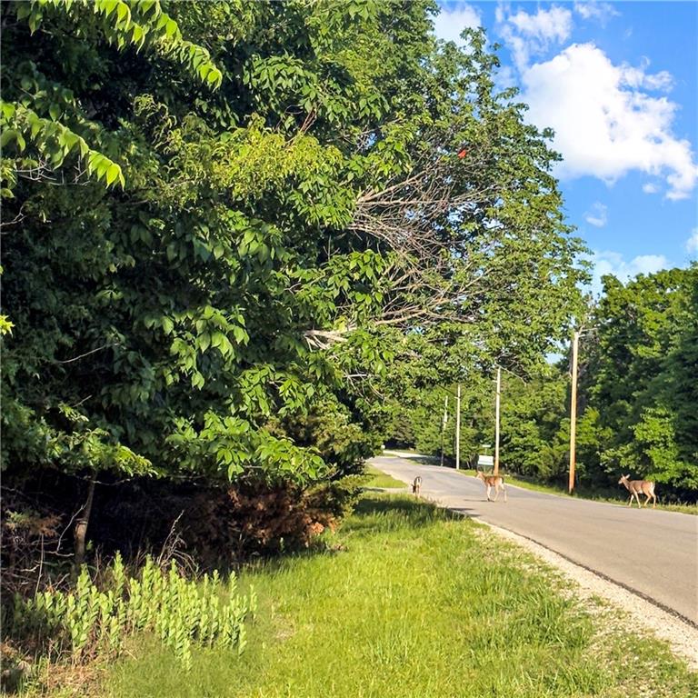 Listing Photo MLS #HMS2621170