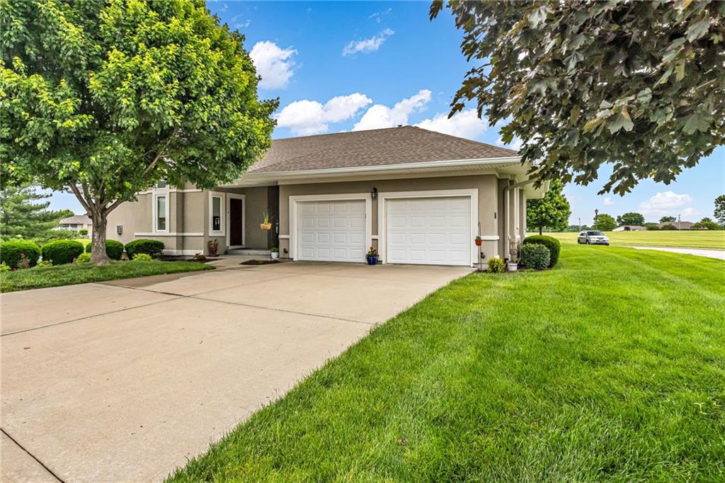 Listing Photo MLS #HMS2621245