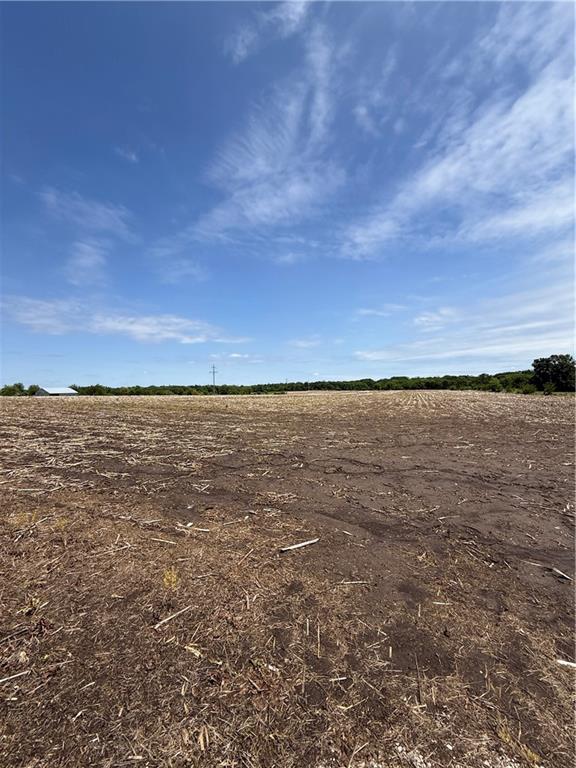Listing Photo MLS #HMS2621334