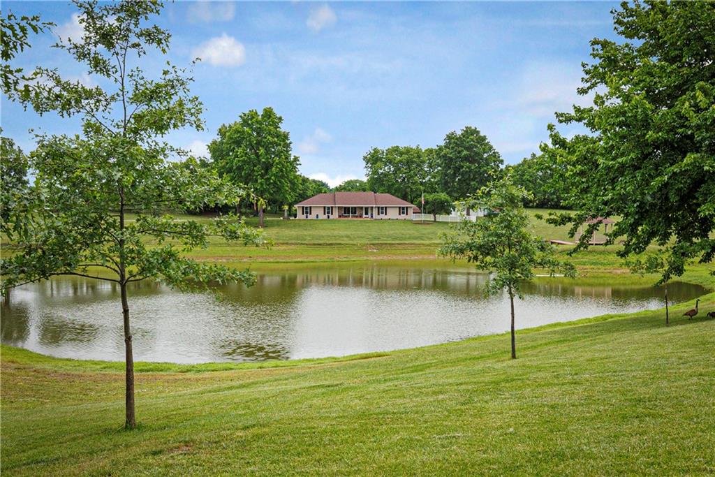 Listing Photo MLS #HMS2621537