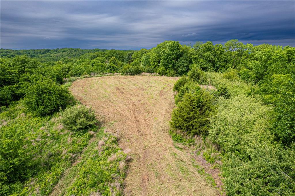 Listing Photo MLS #HMS2621655
