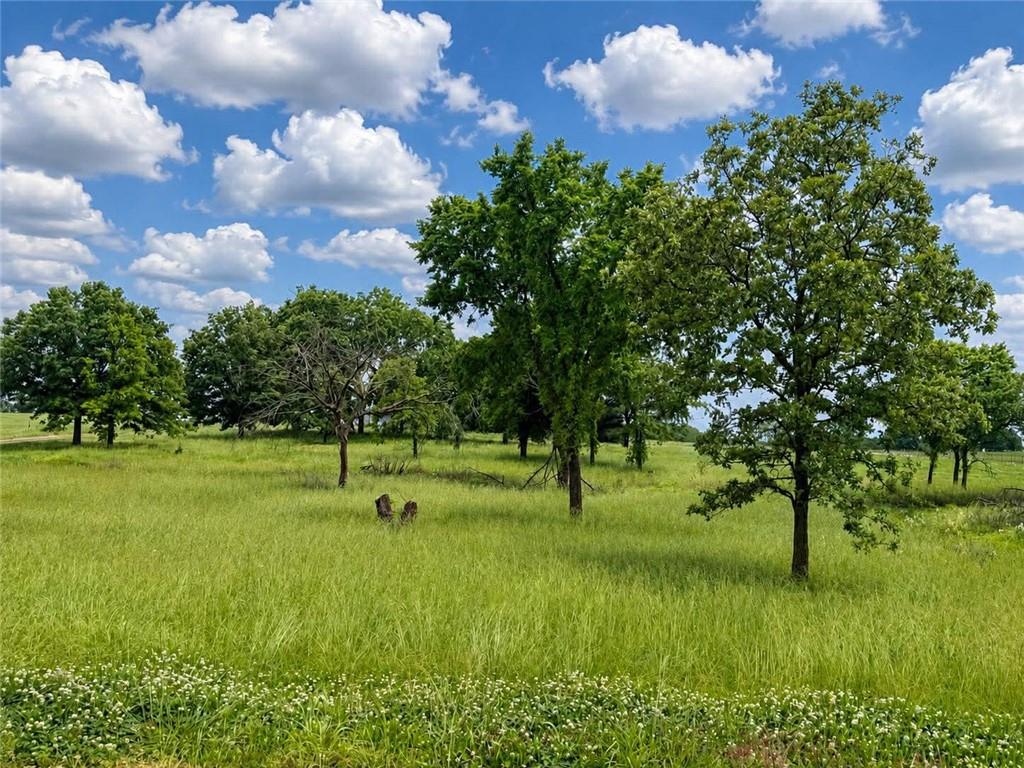 Listing Photo MLS #HMS2621666