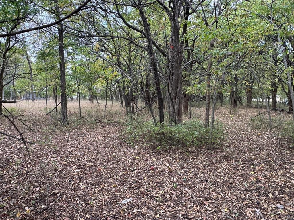 Listing Photo MLS #HMS2621776