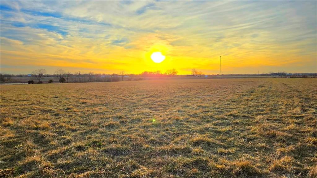 Listing Photo MLS #HMS2621917