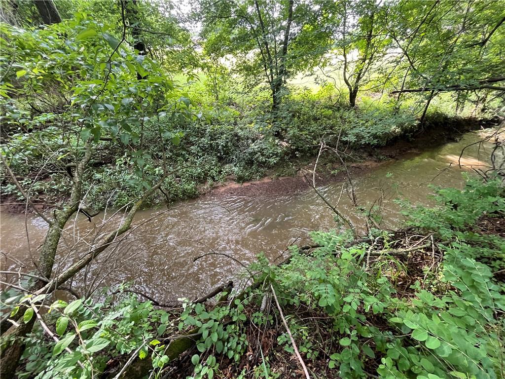 Listing Photo MLS #HMS2622019