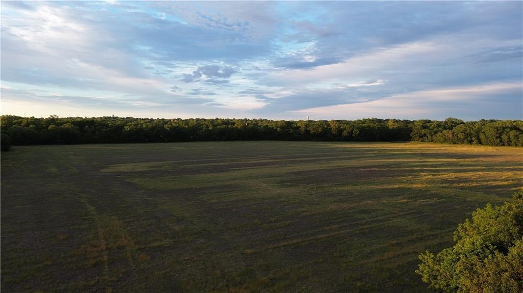 Listing Photo MLS #HMS2622063