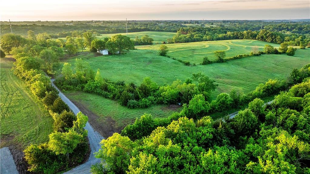 Listing Photo MLS #HMS2622134
