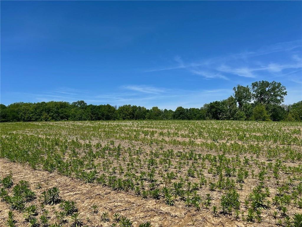 Listing Photo MLS #HMS2622186