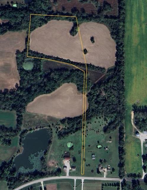 Listing Photo MLS #HMS2622206