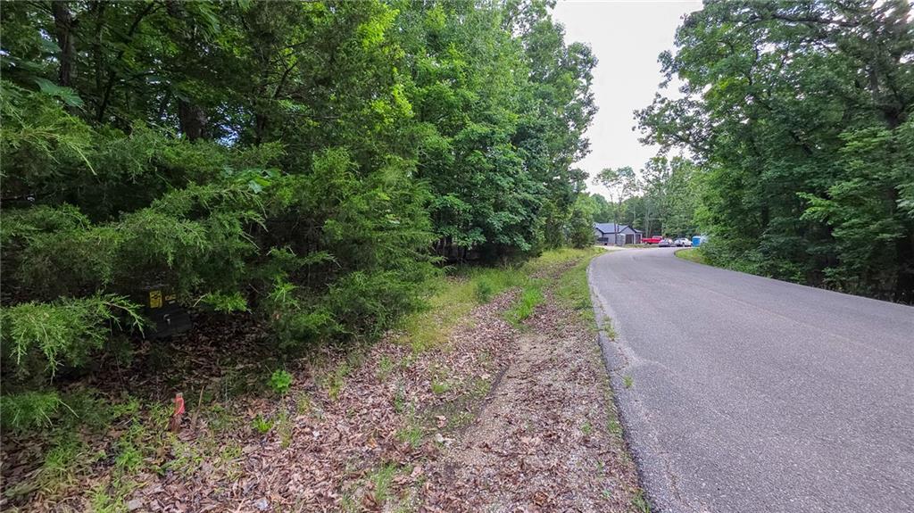 Listing Photo MLS #HMS2622638