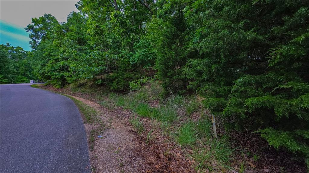 Listing Photo MLS #HMS2622641